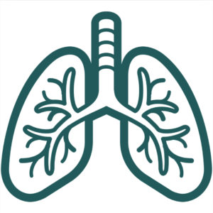 CT thorax/lungor